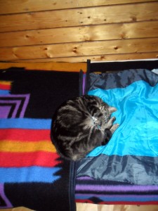 Śmieszka – zwierzęcy pracownik Karkonoskiego Parku Narodowego