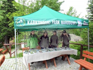 Współpraca polsko-czeska