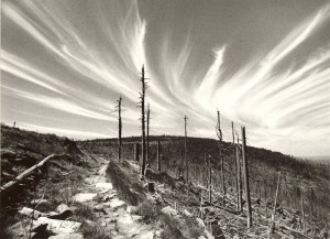 Jerzy Wiklend - Polskie Izery