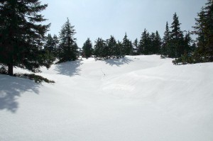 Pokrywa śnieżna w strefie górnej granicy lasu w dniu 30.03.2014r.