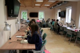 phpThumb_generated_thumbnailjpg (11)