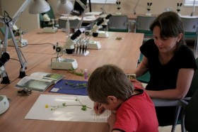 phpThumb_generated_thumbnailjpg (12)