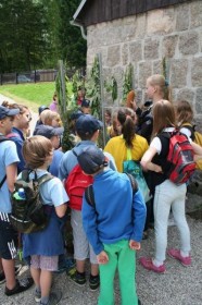 phpThumb_generated_thumbnailjpg (2)