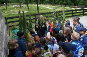 phpThumb_generated_thumbnailjpg (4)