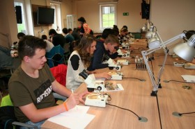 phpThumb_generated_thumbnailjpg (7)11