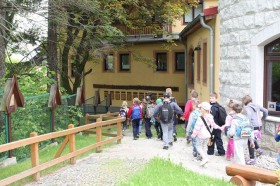 phpThumb_generated_thumbnailjpg (7)3