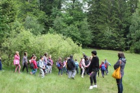 phpThumb_generated_thumbnailjpg (7)4