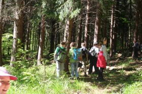 phpThumb_generated_thumbnailjpg (7)8