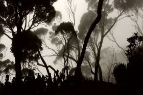 Kazimierz Pichlak, Uganda, Ruwenzori, luty 2014