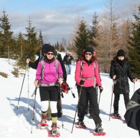 01phpThumb_generated_thumbnail