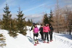 03phpThumb_generated_thumbnail