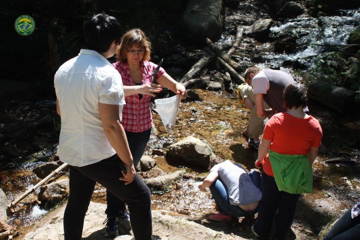 12308156_969695733124201_2011294767153810081_o