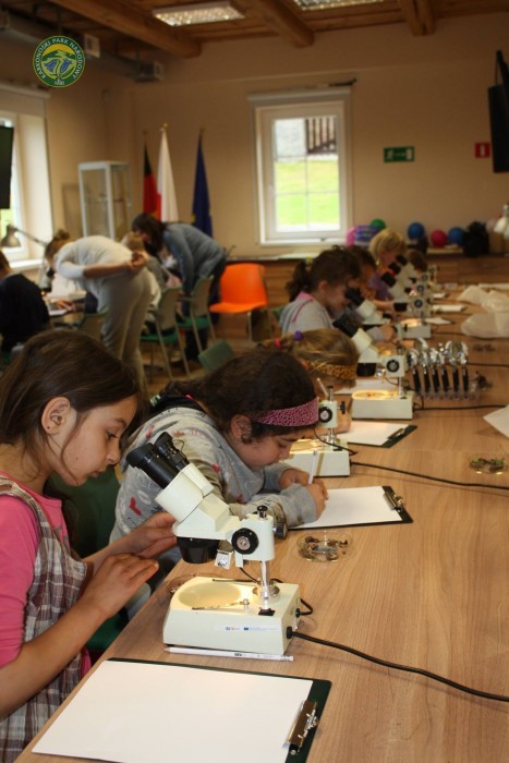 12339171_969695623124212_5252257751244689037_o