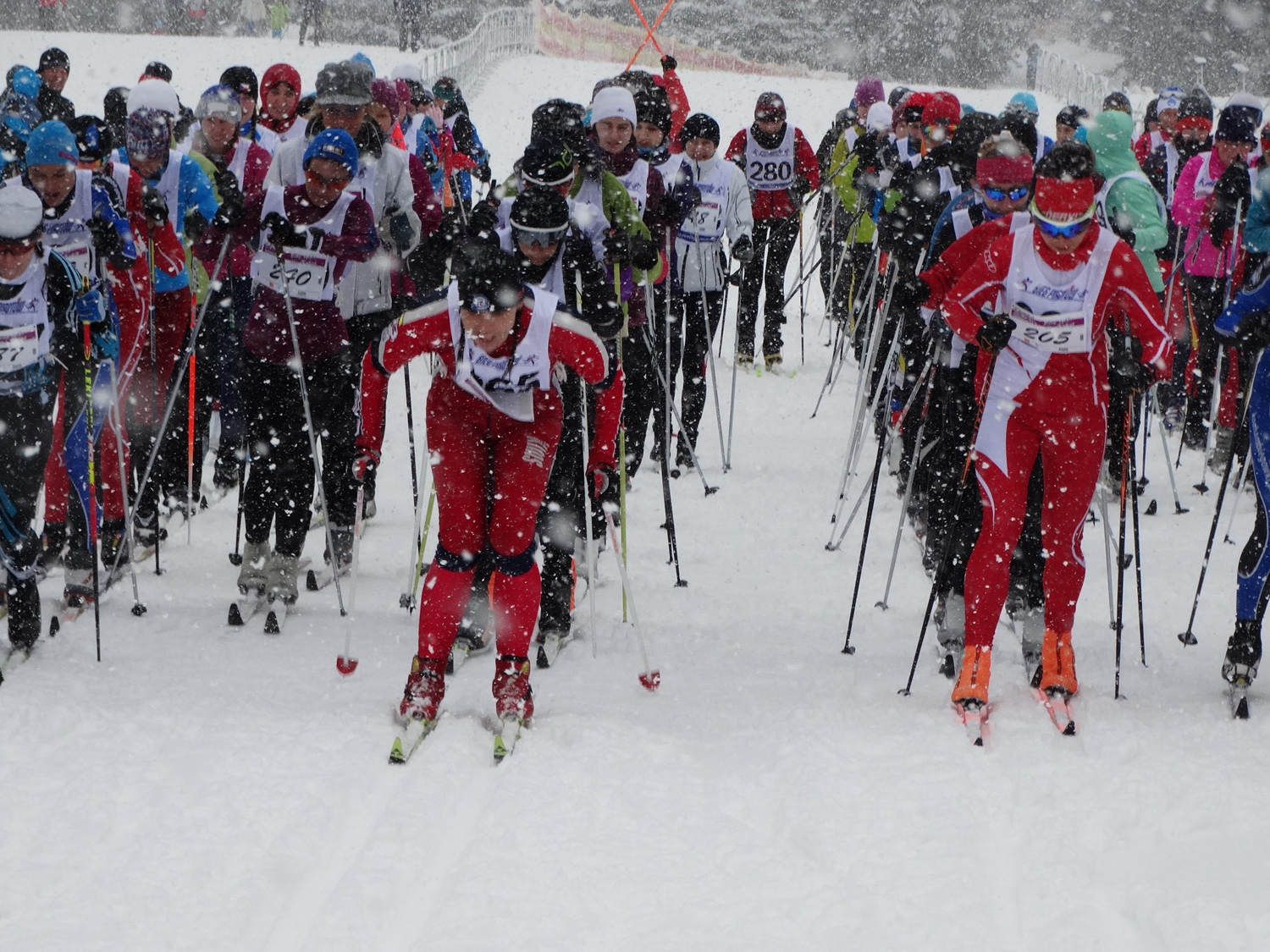 Bieg tylko dla Kobiet 2015 2