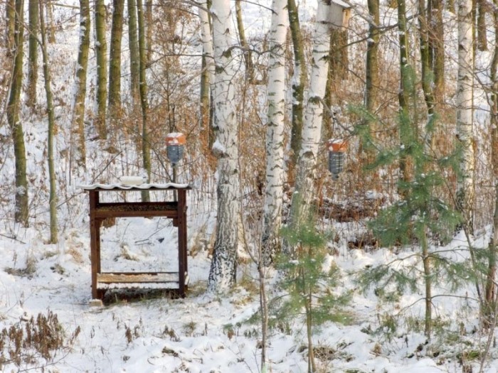 Karmnik (fot. Arnold Cholewa).
