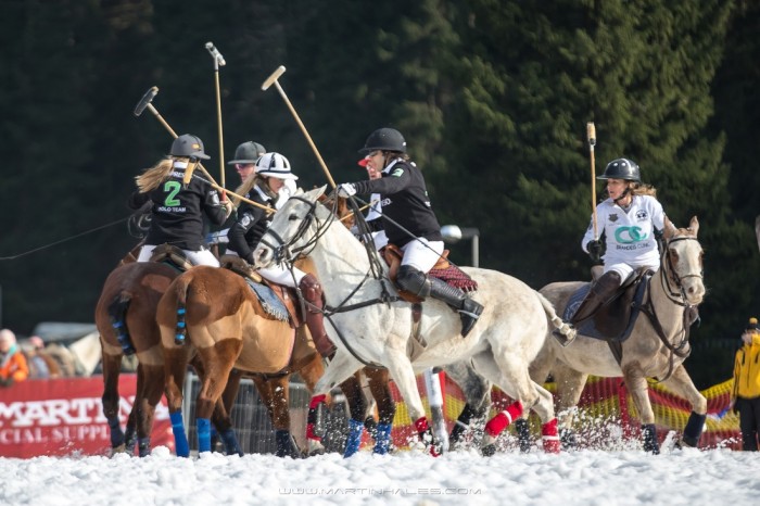 polo1
