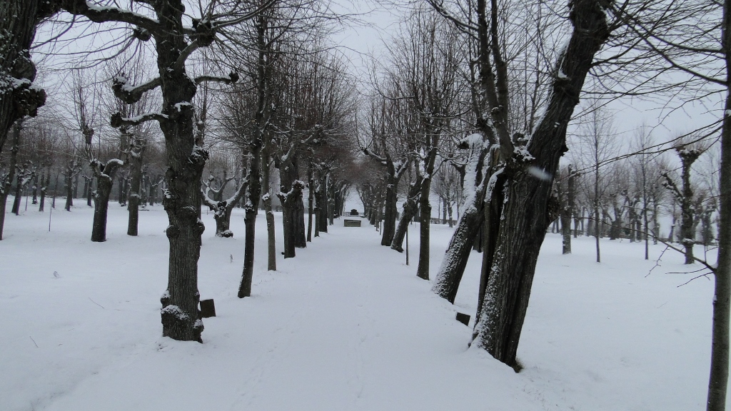 Foto: Krzysztof Tęcza