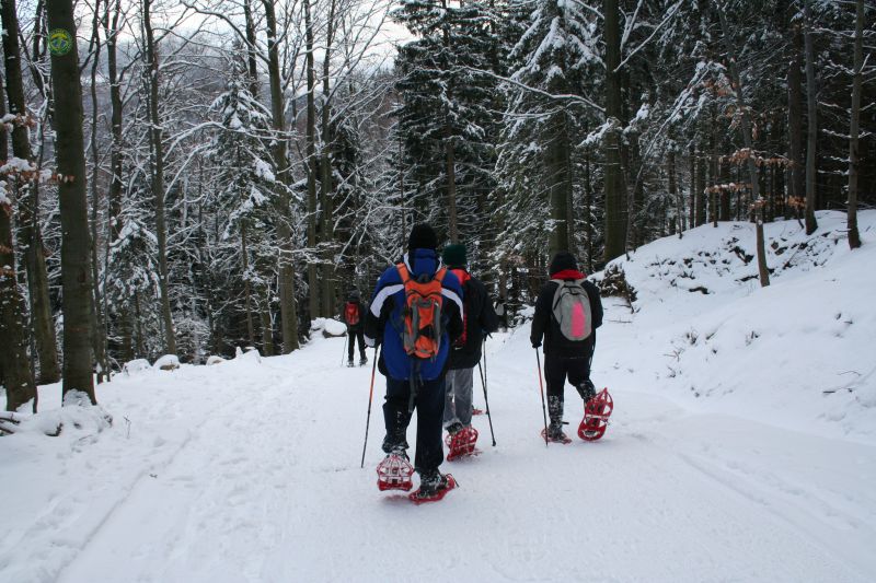 Wyprawa na rakietach śnieżnych