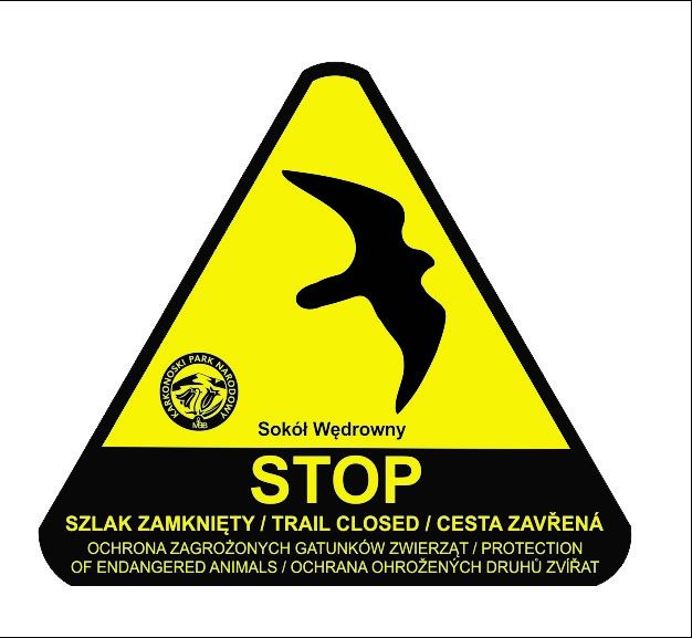Stop_Sokol_Wedrowny