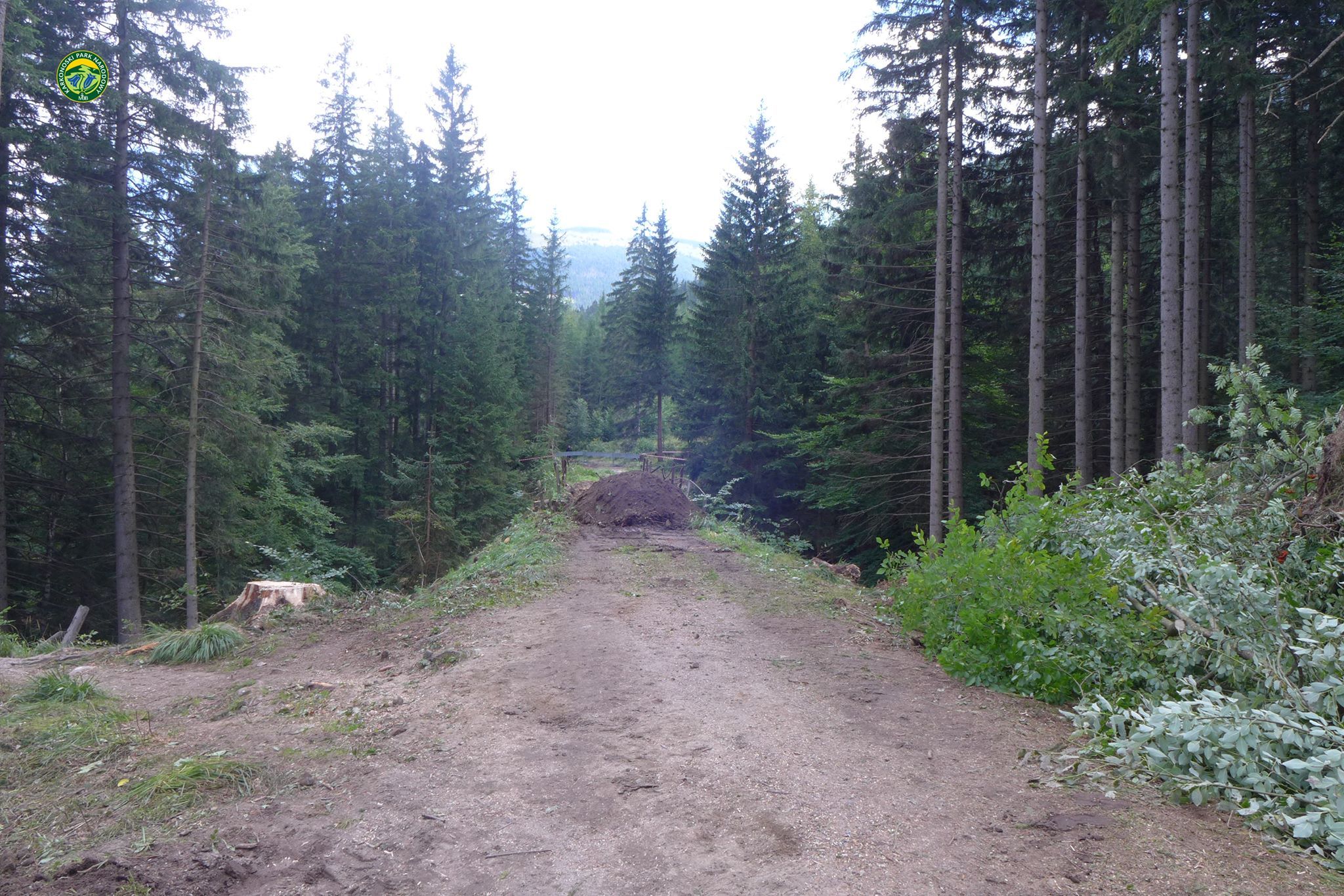 KPN_remont_BetonowyMostek_03