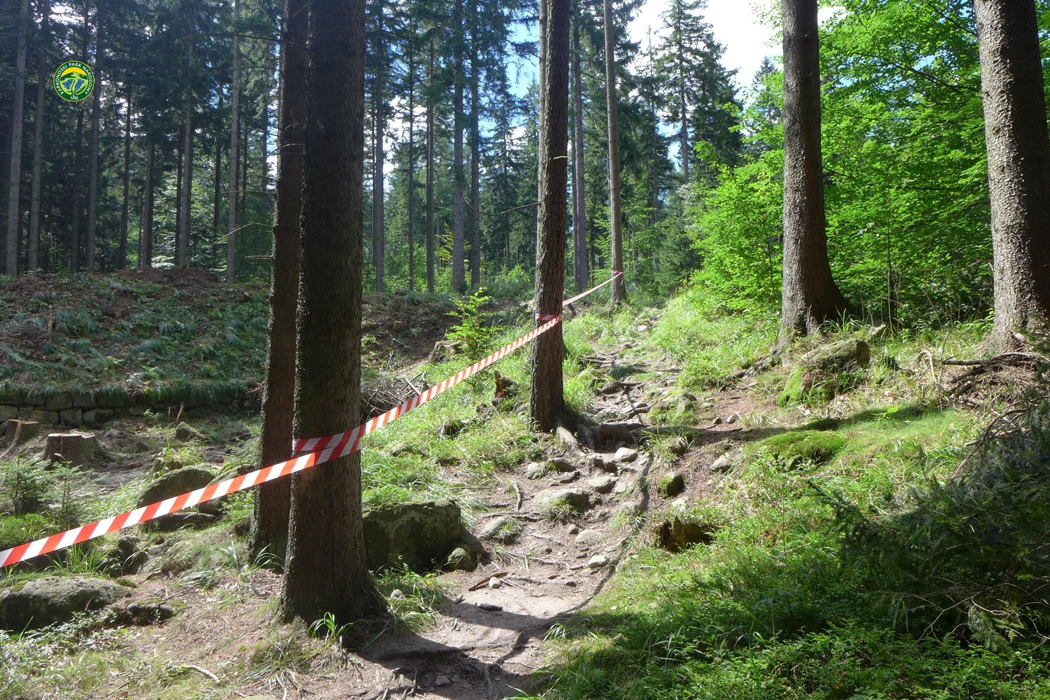 KPN_remont_BetonowyMostek_05