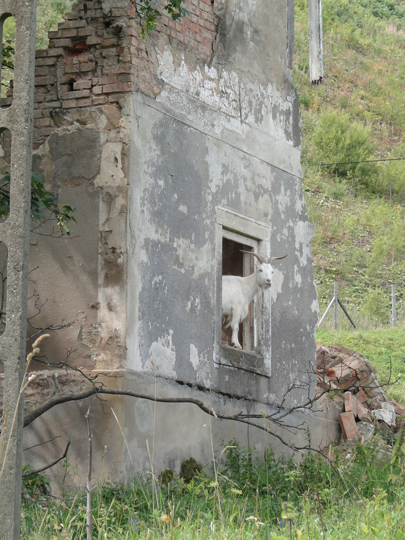 Andrzejowka_2016_009